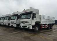 Light Goods HOWO Economic Cargo Vehicles 25 Tons 10Wheels LHD 290 HP Two Berth