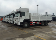 Multi - Purpose Large Cargo Van Truck 25 - 45 Tons 6X4 LHD Euro 2 336HP