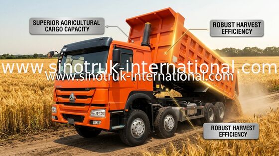 Tipper Truck SINOTRUK HOWO 371HP 12 Wheels LHD 31 Tons 20-30CBM ZZ3317N3567W