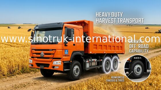 371HP 10 Wheeler Dump Truck Capacity 30 - 40 T 75 Km/H Low Fuel Consumption