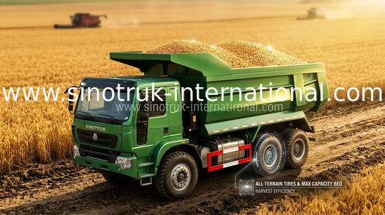 Heavy Duty SINO HOWO Trucks / 10 Wheeler Dump Truck 371HP Low Fuel Consumption