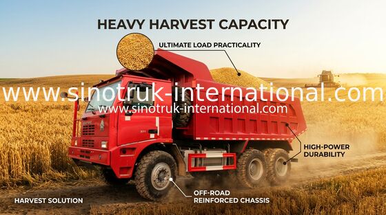 70 Mining Tipper Dump Truck , Euro 2 SINOTRUK HOWO 6x4 Dump Truck