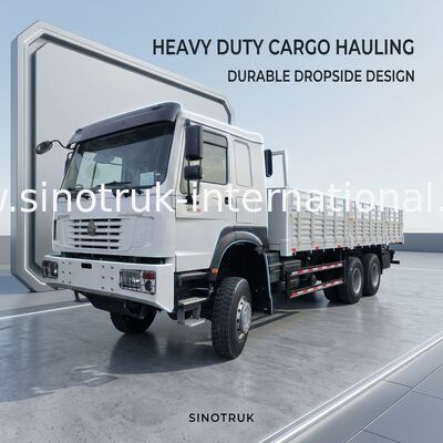 Sinotruk Howo Brand New Cargo Truck  6 × 6  All Wheel Drive Lhd 10 Wheels Long Cargo Box
